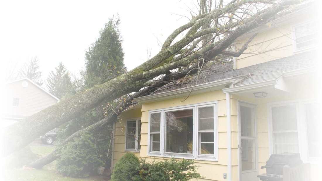 24-Hour Emergency Pittsburgh Tree Removal